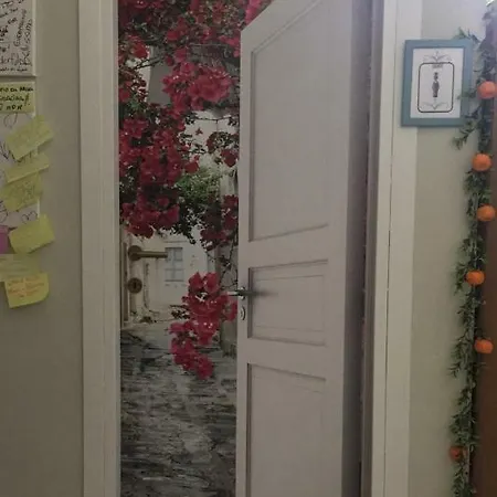 Alojamento de Acomodação e Pequeno-almoço 091